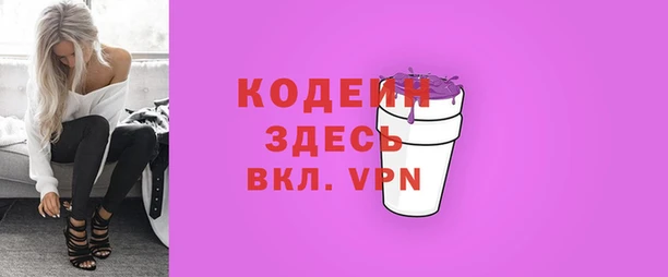 индика Абинск