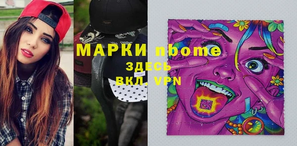 индика Абинск