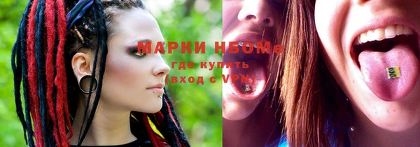 индика Абинск