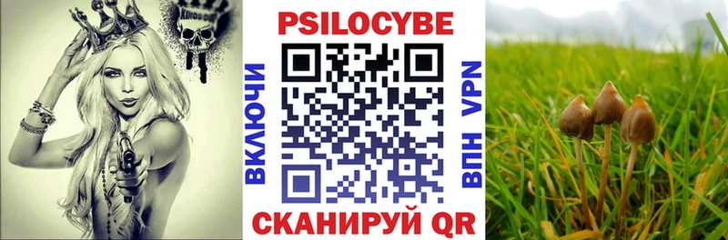 купить  сайты  Воткинск  Псилоцибиновые грибы мицелий 