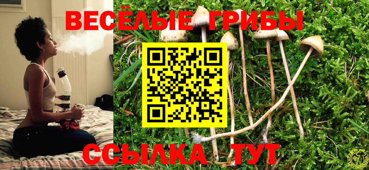 Галлюциногенные грибы ЛСД  Псилоцибиновые грибы прущие грибы  Воткинск 