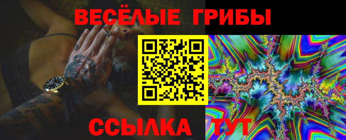 Псилоцибиновые грибы MAGIC MUSHROOMS  Псилоцибиновые грибы прущие грибы  Вход с VPN  Воткинск 