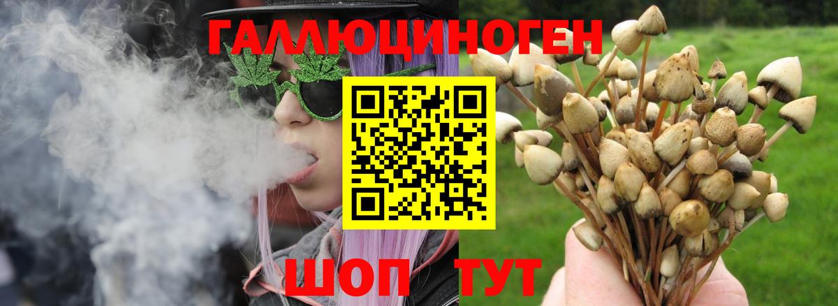 Псилоцибиновые грибы прущие грибы Воткинск